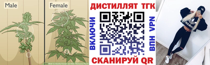 Дистиллят ТГК вейп Вязники