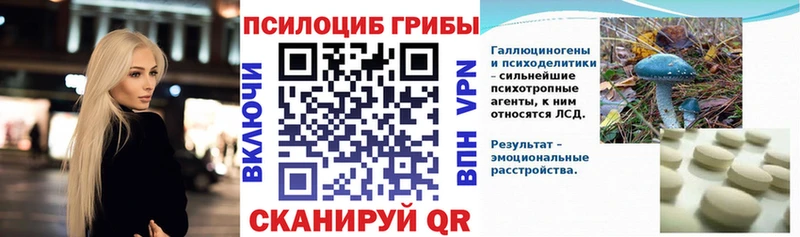 Псилоцибиновые грибы Psilocybe  Вязники 