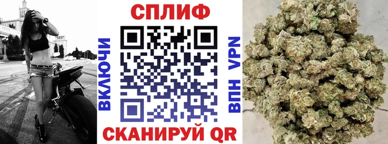 Каннабис конопля  Вязники 